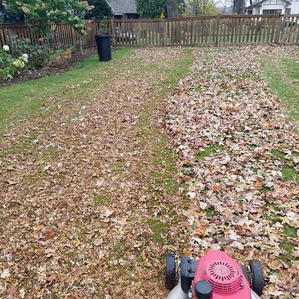 Fall Clean Up Fitchburg Massachusetts Fall Clean Up Fitchburg Massachusetts